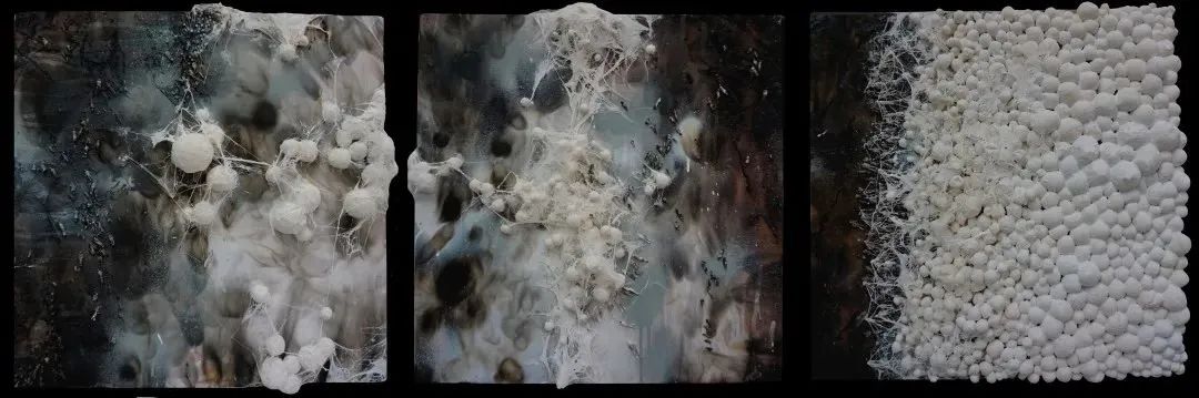 招生指南