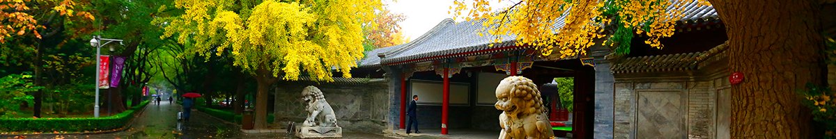 组织架构
